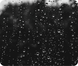Regenwassernutzung
